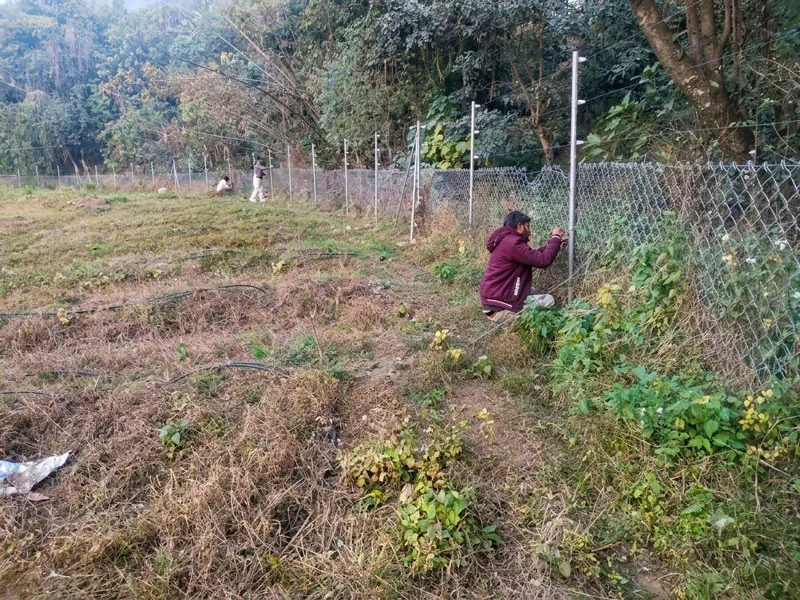 Solar fencing boundary installation work