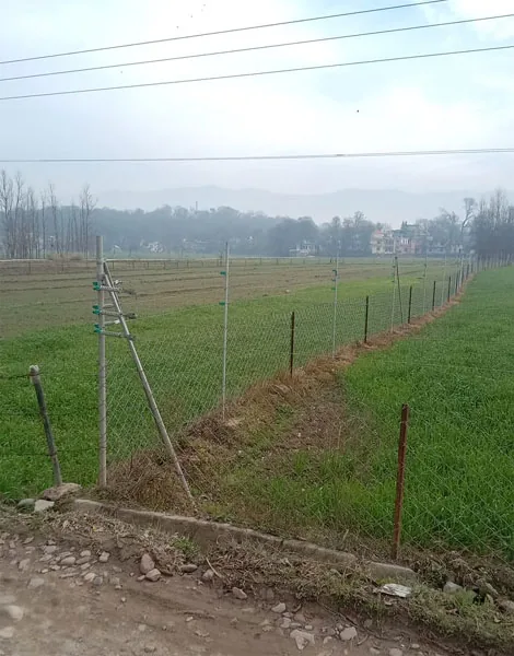 Solar fencing installed around agricultural field