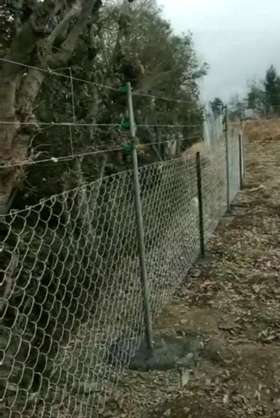 Close view of solar fencing boundary line